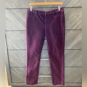 Velvet pants by Banana Republic